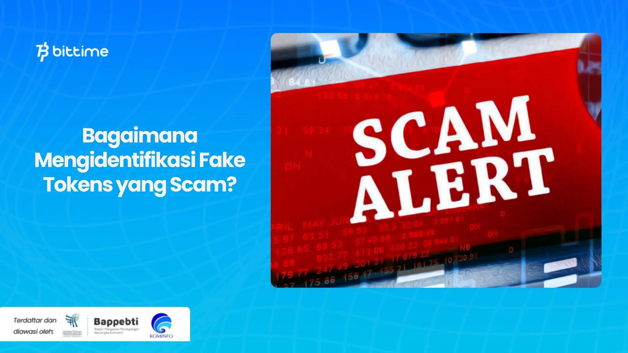 Bagaimana Mengidentifikasi Fake Tokens yang Scam.webp