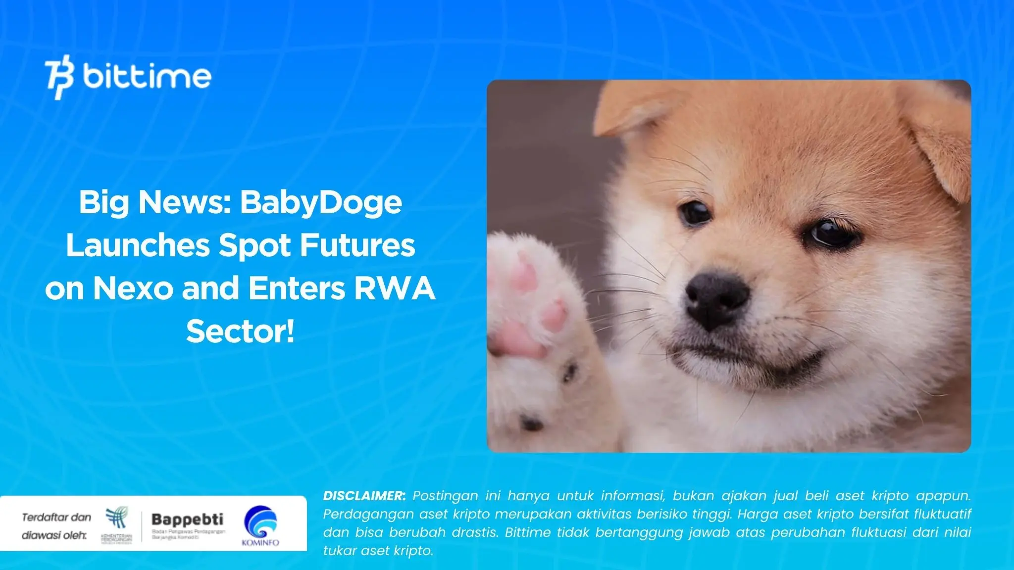 Big News BabyDoge Launches Spot Futures on Nexo and Enters RWA Sector!.webp
