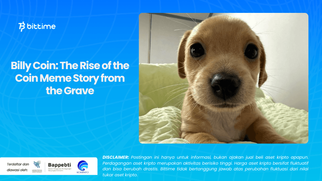 Billy Coin: The Rise of the Coin Meme Story from the Grave