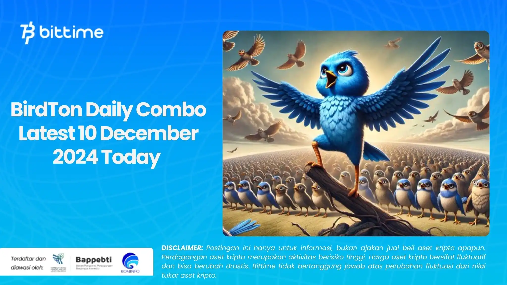 BirdTon Daily Combo Latest  10 December 2024 Today .webp