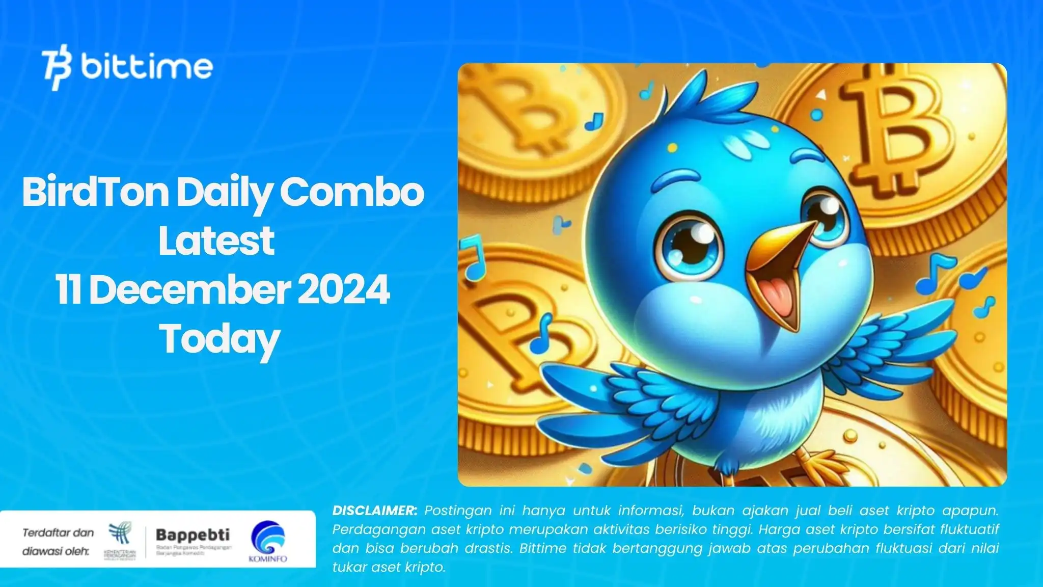 BirdTon Daily Combo Latest  11 December 2024 Today 