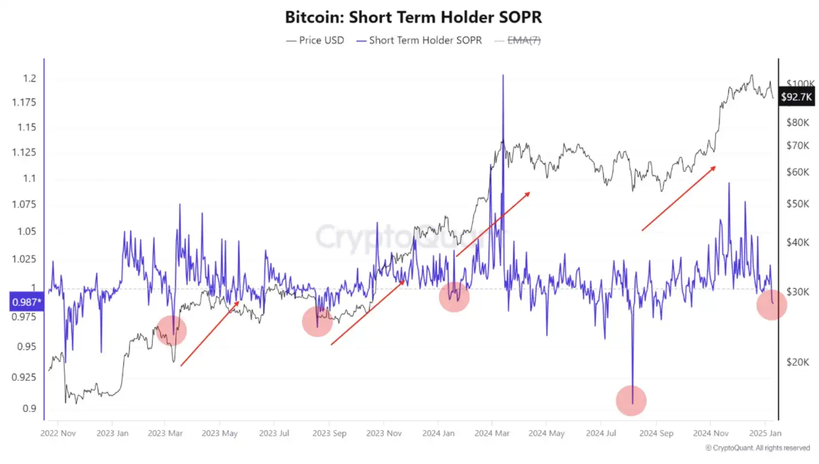 Bitcoin Falls SOPR Indicator Shows Buy Signal - SOPR.webp