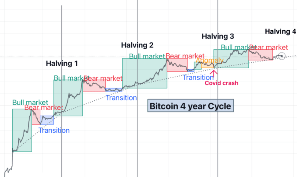Bitcoin Halving 4 year cycle.png