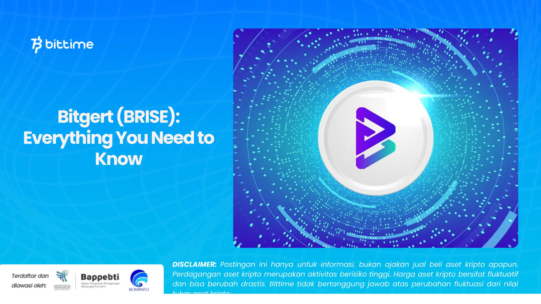 Bitgert (BRISE): Everything You Need to Know