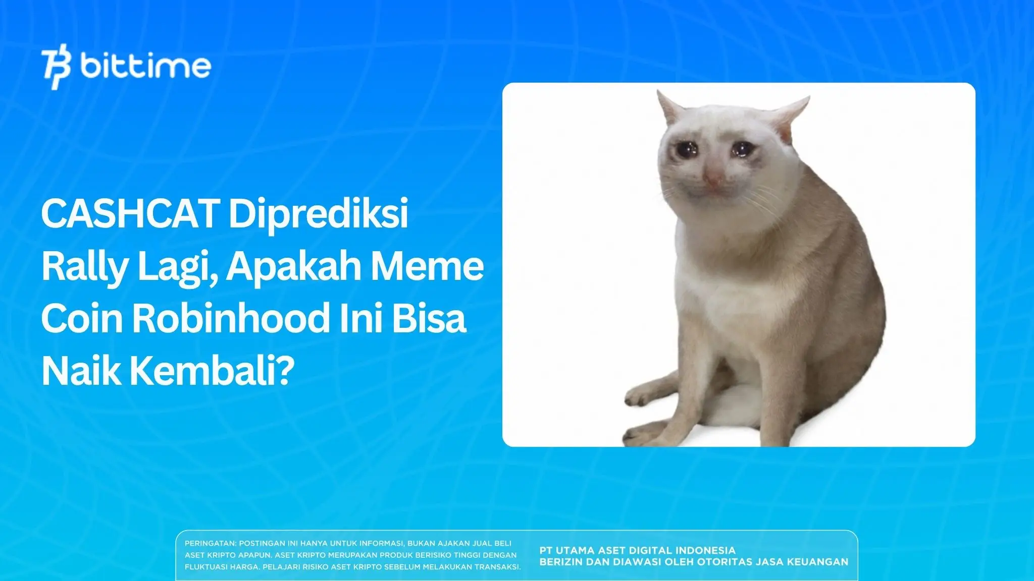 CASHCAT Diprediksi Rally Lagi, Apakah Meme Coin Robinhood Ini Bisa Naik Kembali?
