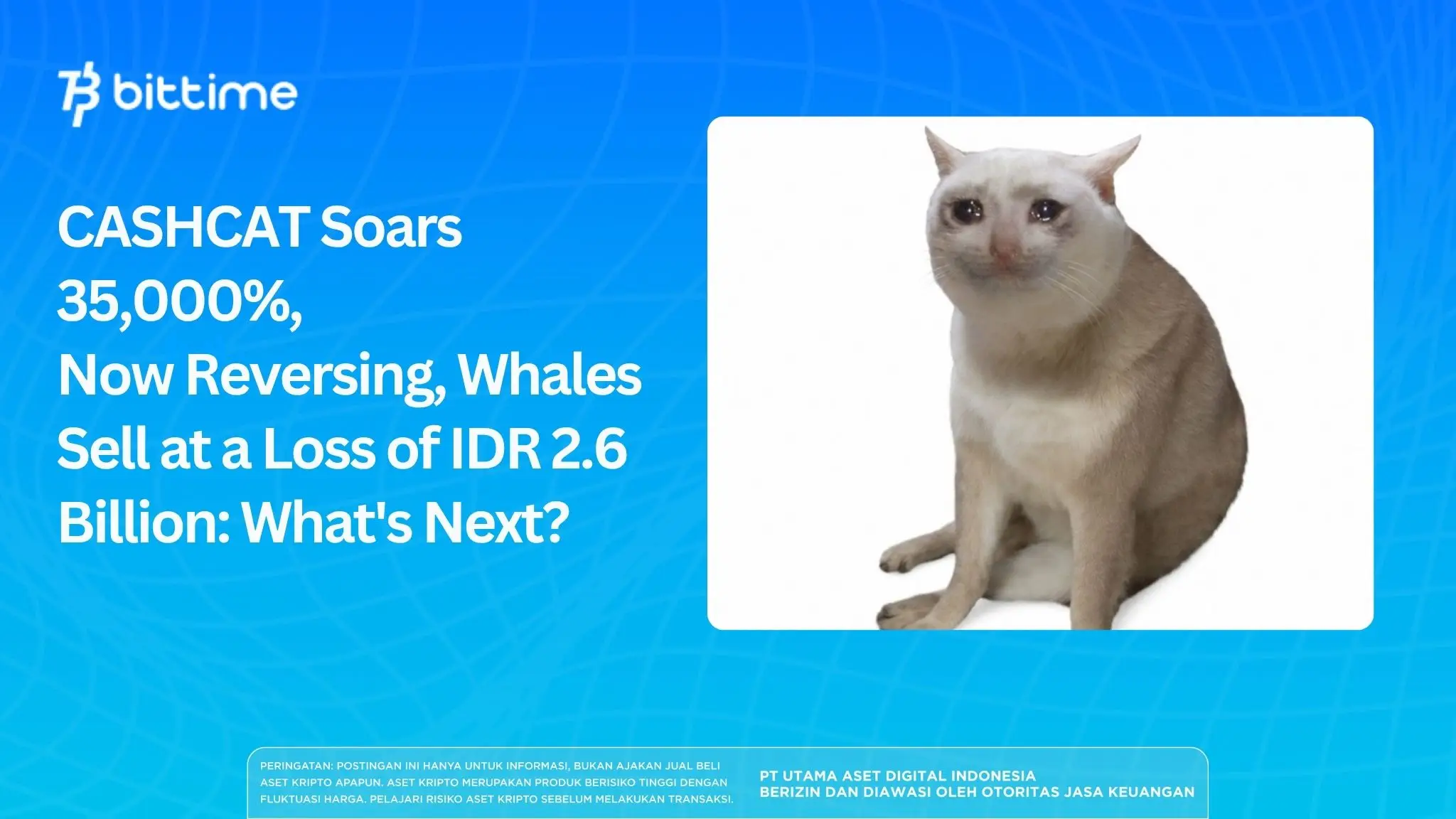 CASHCAT Soars 35,000%, Now Reversing, Whales Sell at a Loss of IDR 2.6 Billion: What's Next?