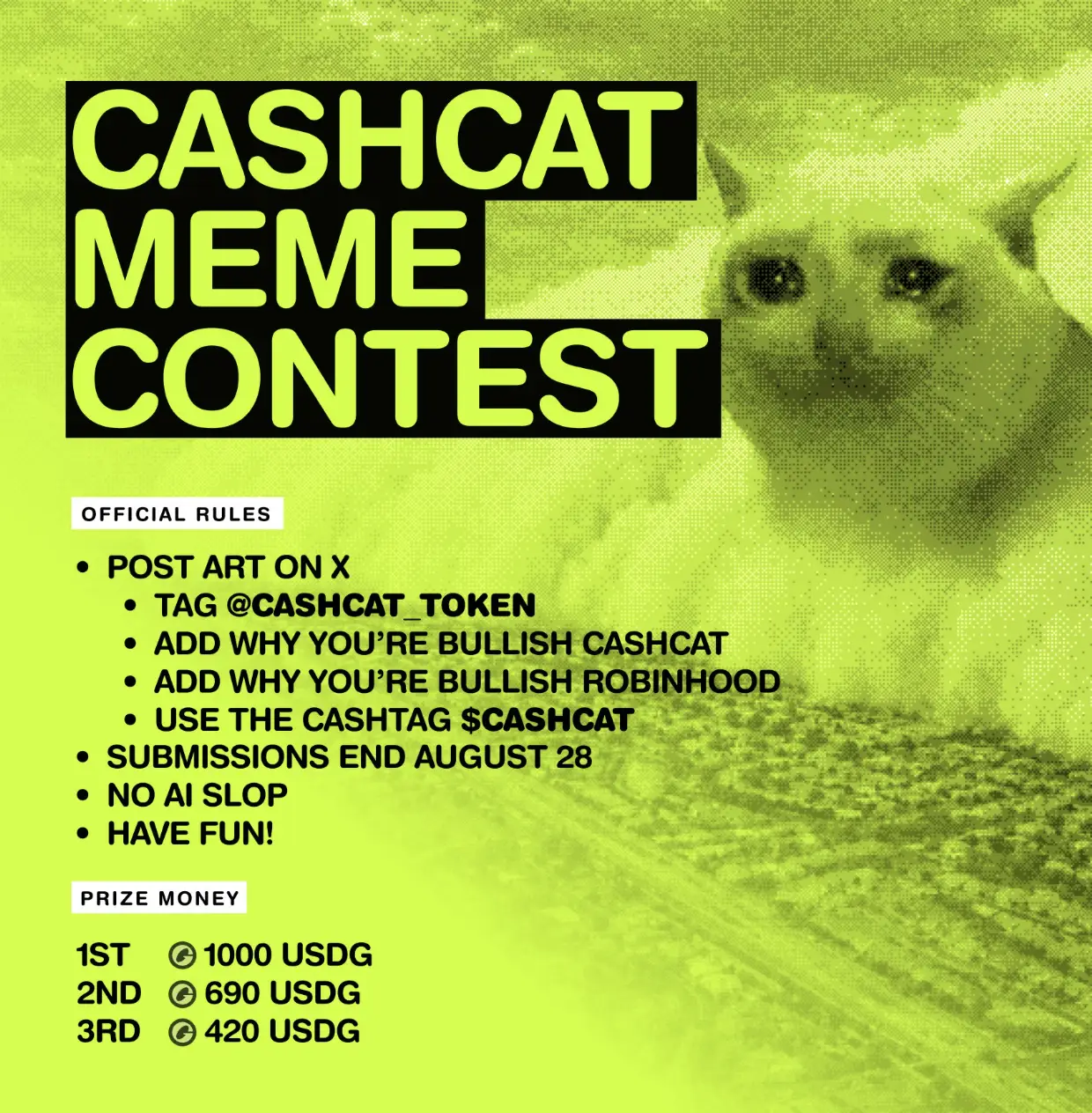 CASHCAT Update Meme Kontes Berhadiah dan Holder Tembus 40.000 - image.webp