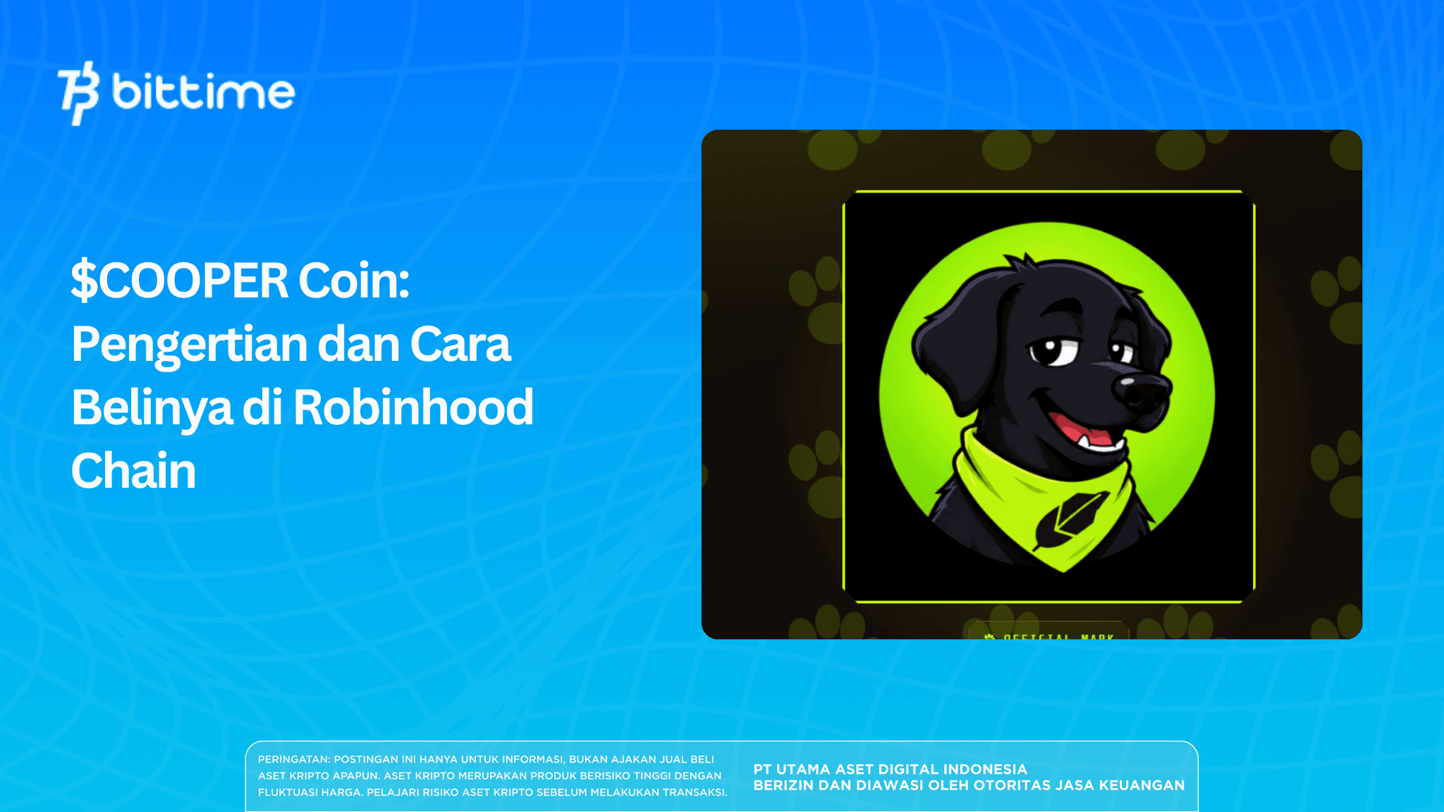 $COOPER Coin: Pengertian dan Cara Belinya di Robinhood Chain