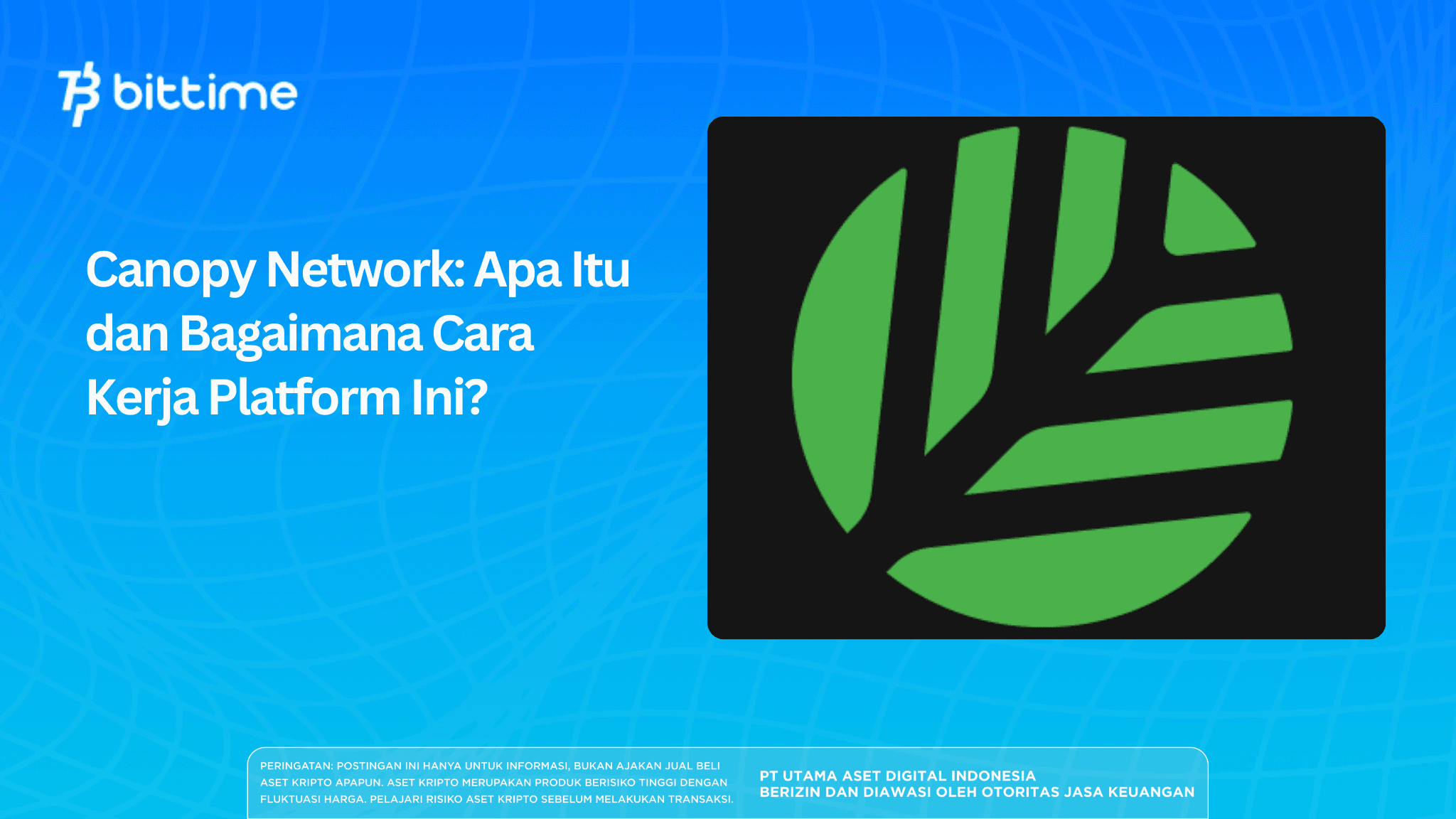 Canopy Network: Apa Itu dan Bagaimana Cara Kerja Platform Ini?