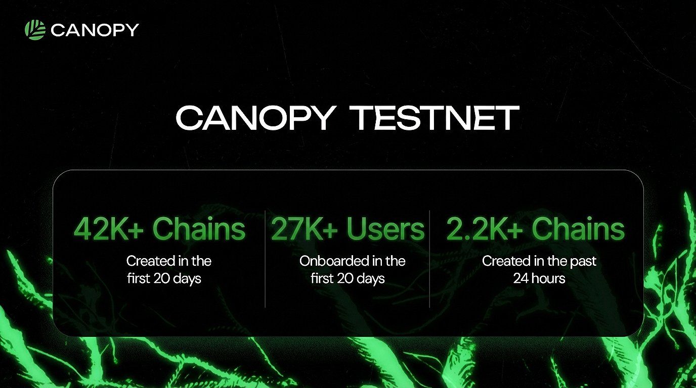 Canopy testnet.jpeg