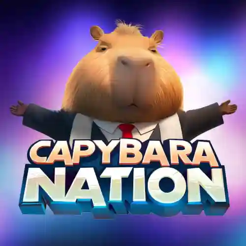 Capybara Nation Daily Latest Combo 26 November Today - image.webp