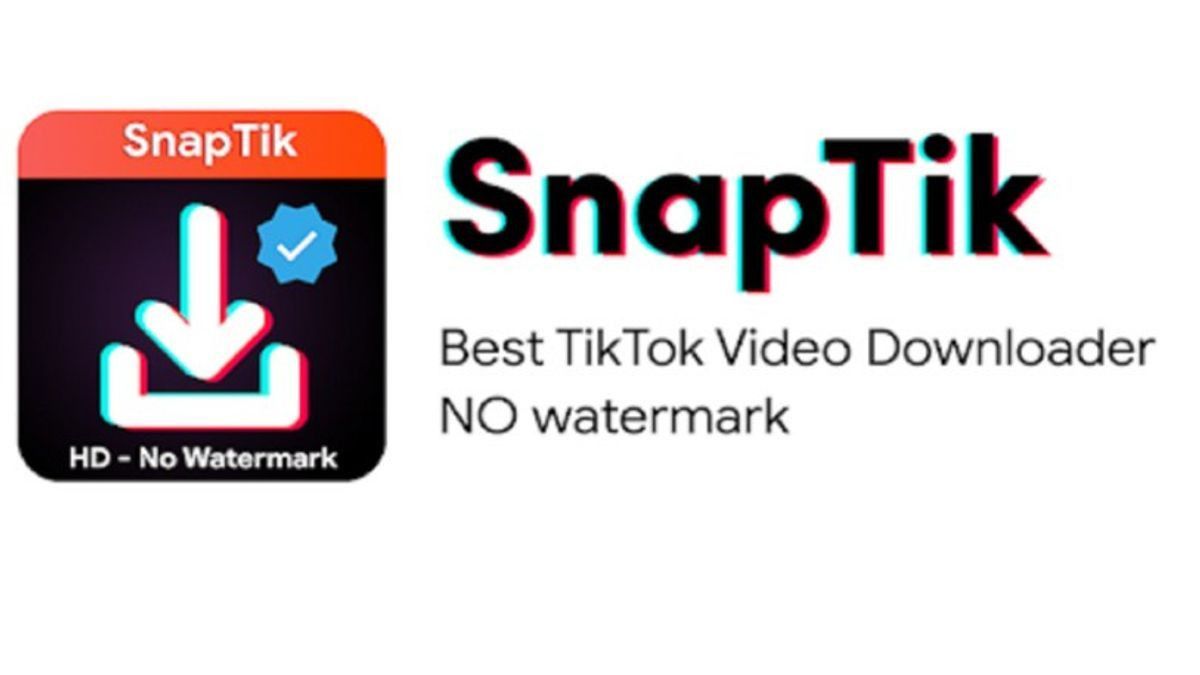 How to Download TikTok Without a Watermark via Websites