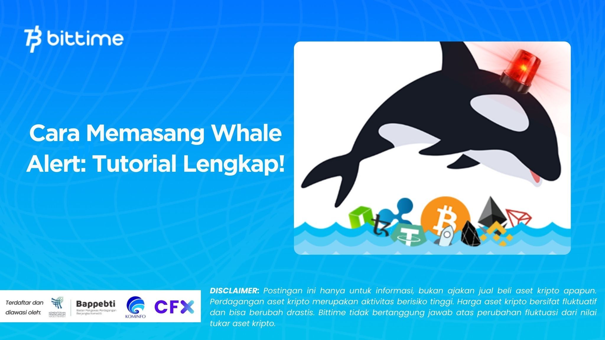 Cara Memasang Whale Alert: Tutorial Lengkap!