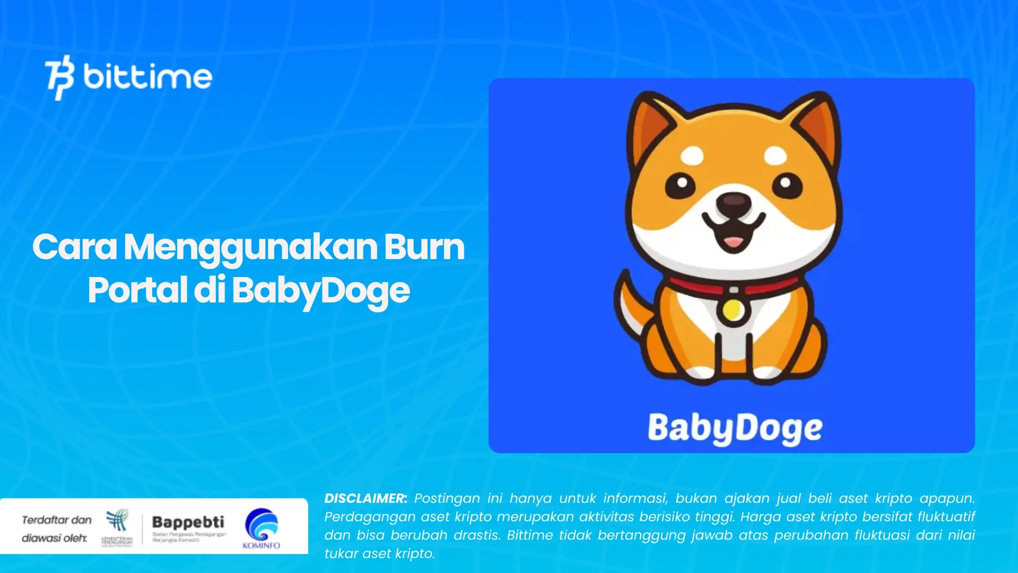 Cara Menggunakan Burn Portal di BabyDoge