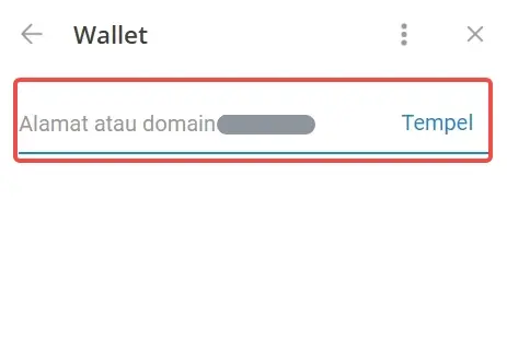 Cara Withdraw Hamster Kombat ke Bittime dari Wallet Telegram