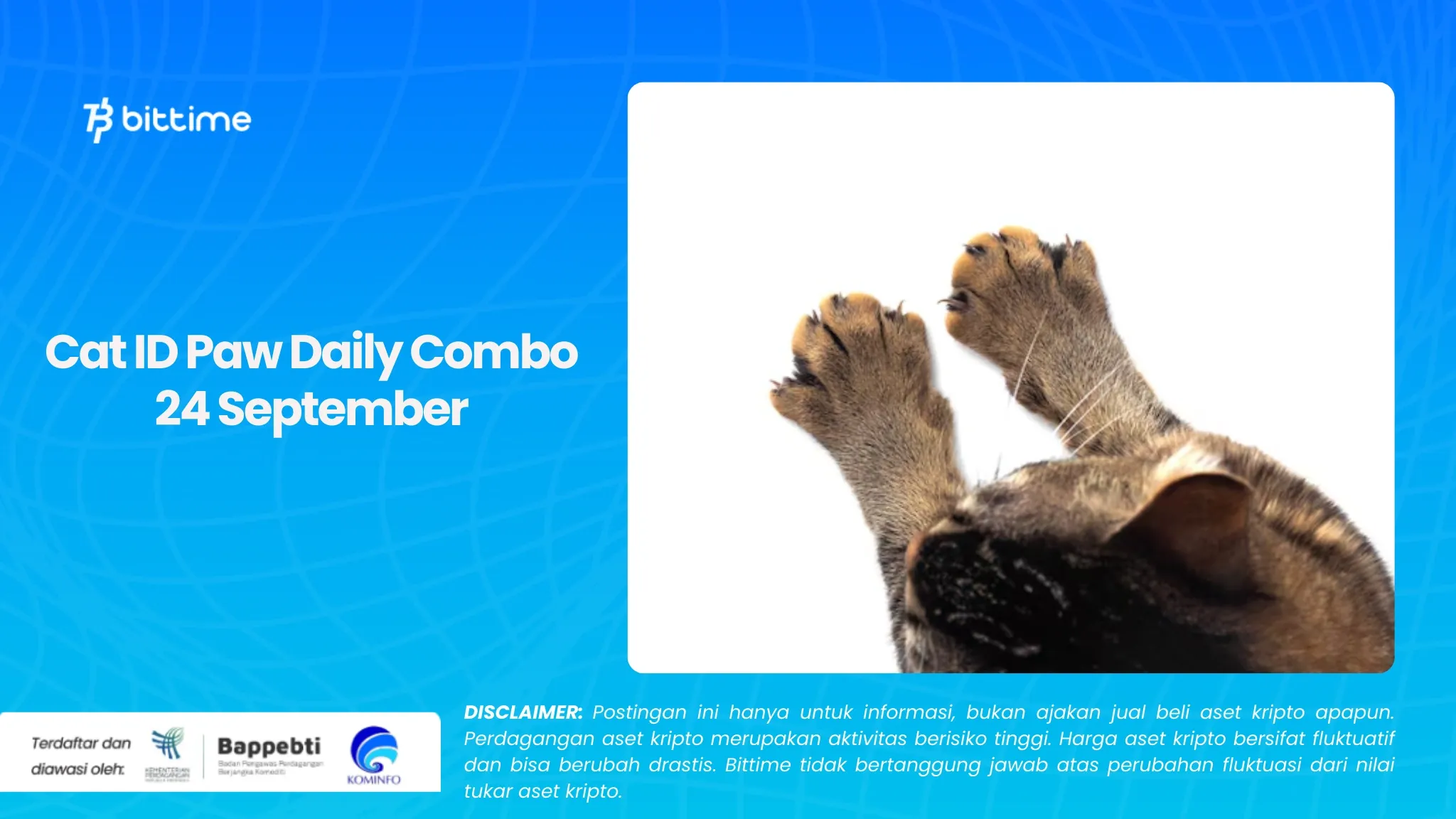 Cat ID Paw Daily Combo 24 September.webp