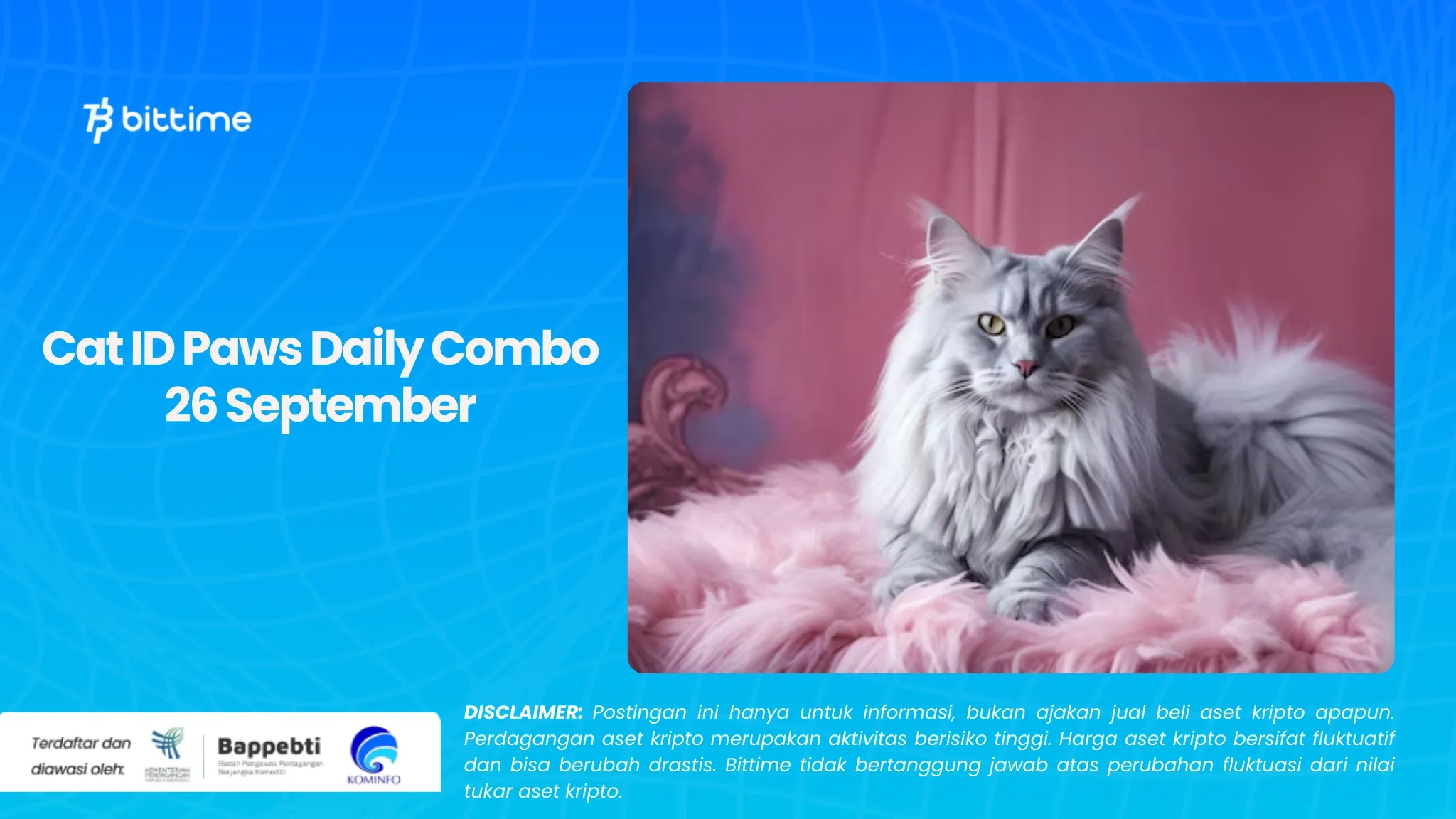 _Cat ID Paws Daily Combo 26 September.webp