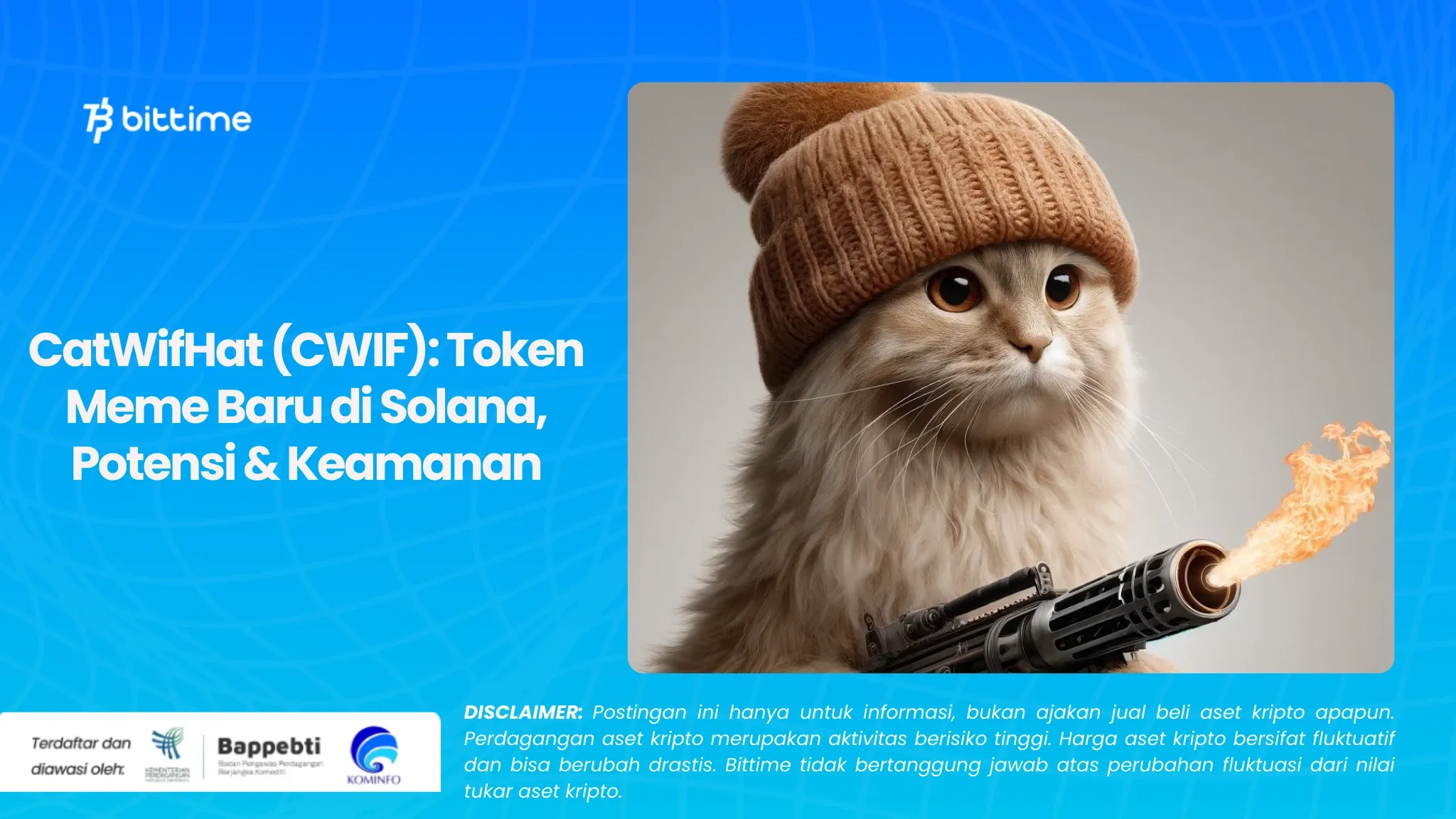 CatWifHat (CWIF) Token Meme Baru di Solana, Potensi & Keamanan.webp