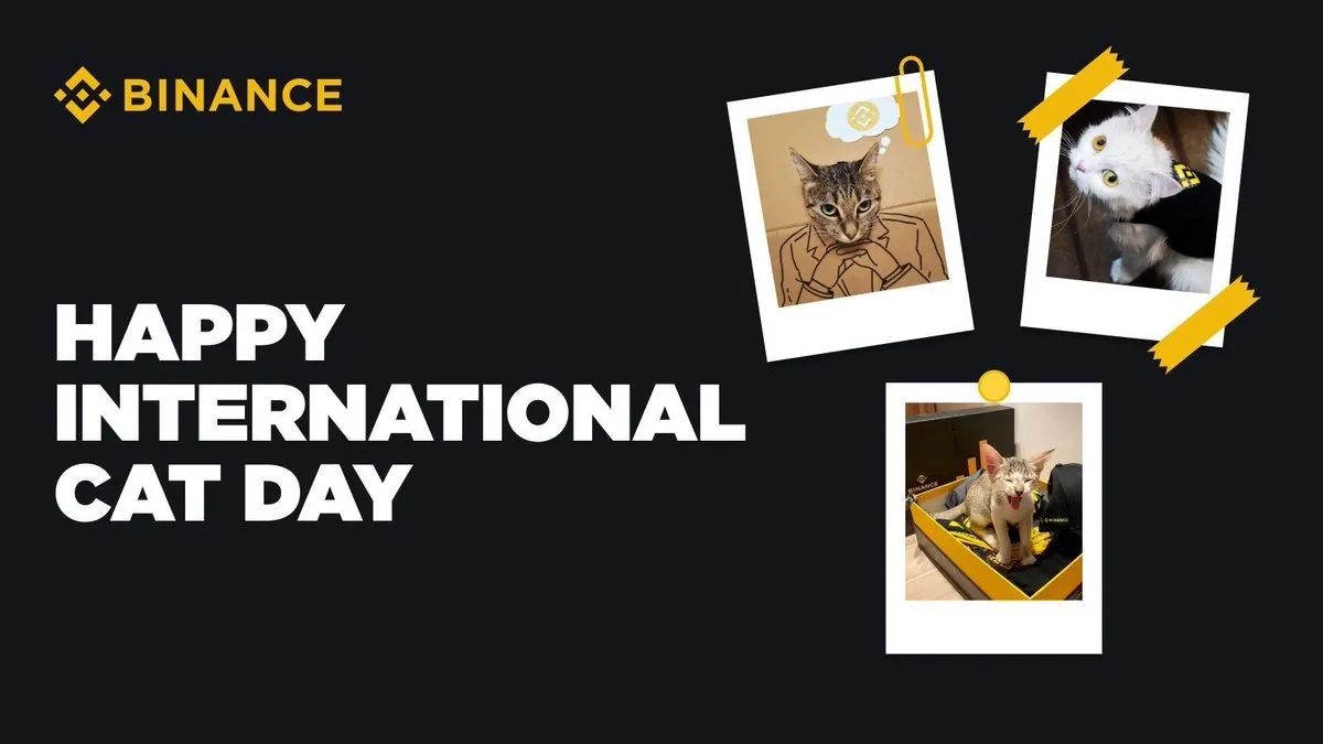 Catizen Peringati Happy International Cat Day dengan Gelar Acara Meow Carnival Event