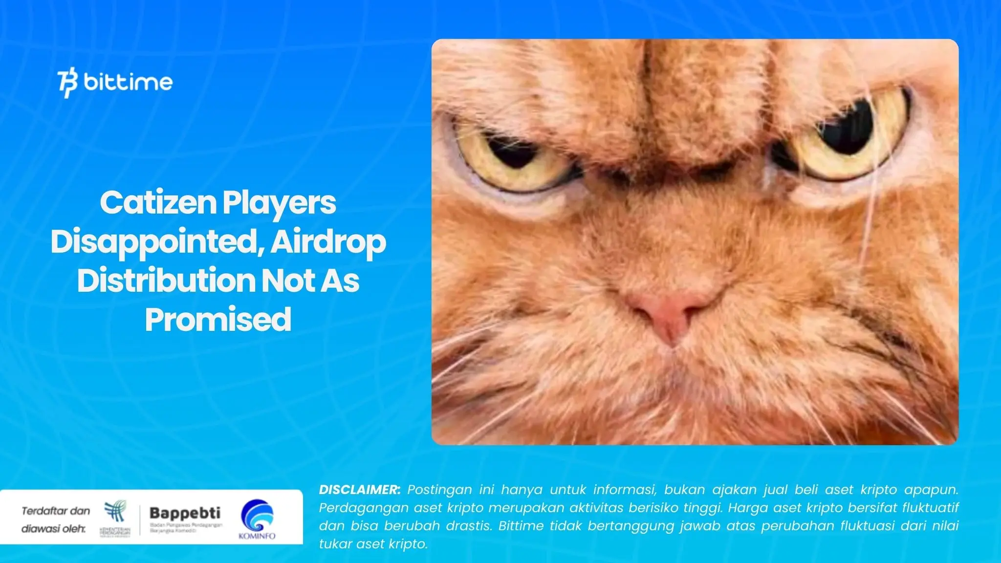 Catizen Players Disappointed, Airdrop Distribution Not As Promised.webp