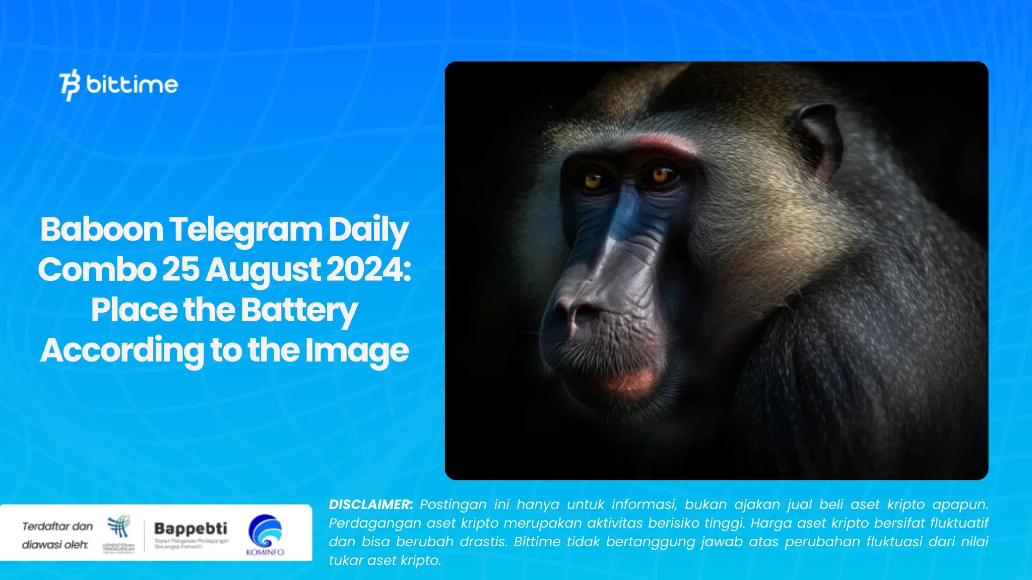 Baboon Telegram Daily Combo 25 August 2024: Place the Battery According to the Image
