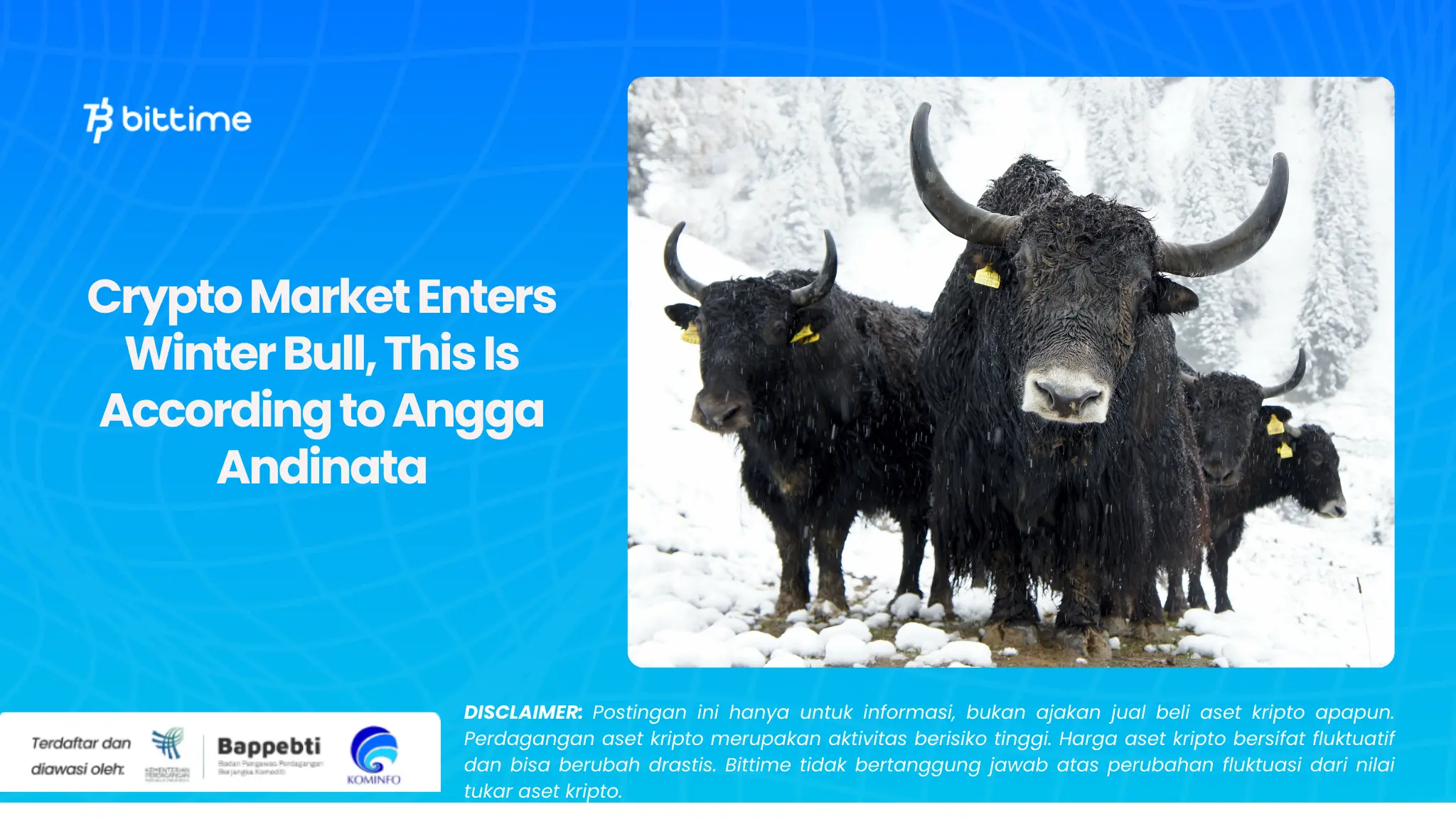 Crypto Market Enters Winter Bull, This Is According to Angga Andinata