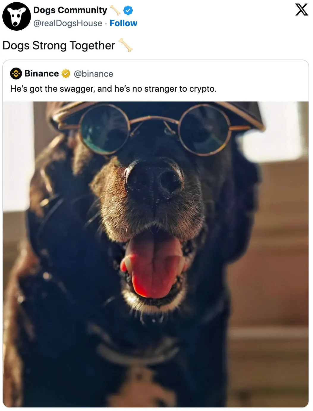 DOGS Bakal Listing di Binance atau Bybit, Mana yang Lebih Dulu?