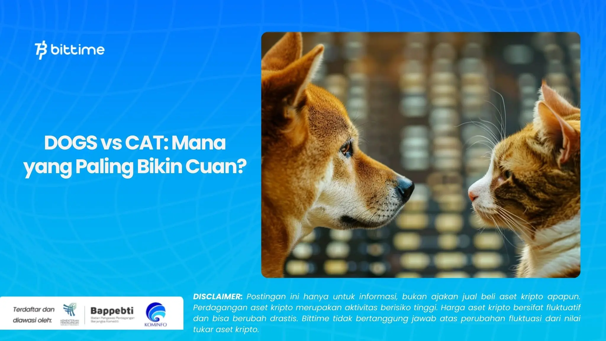 DOGS vs CAT Mana yang Paling Bikin Cuan?