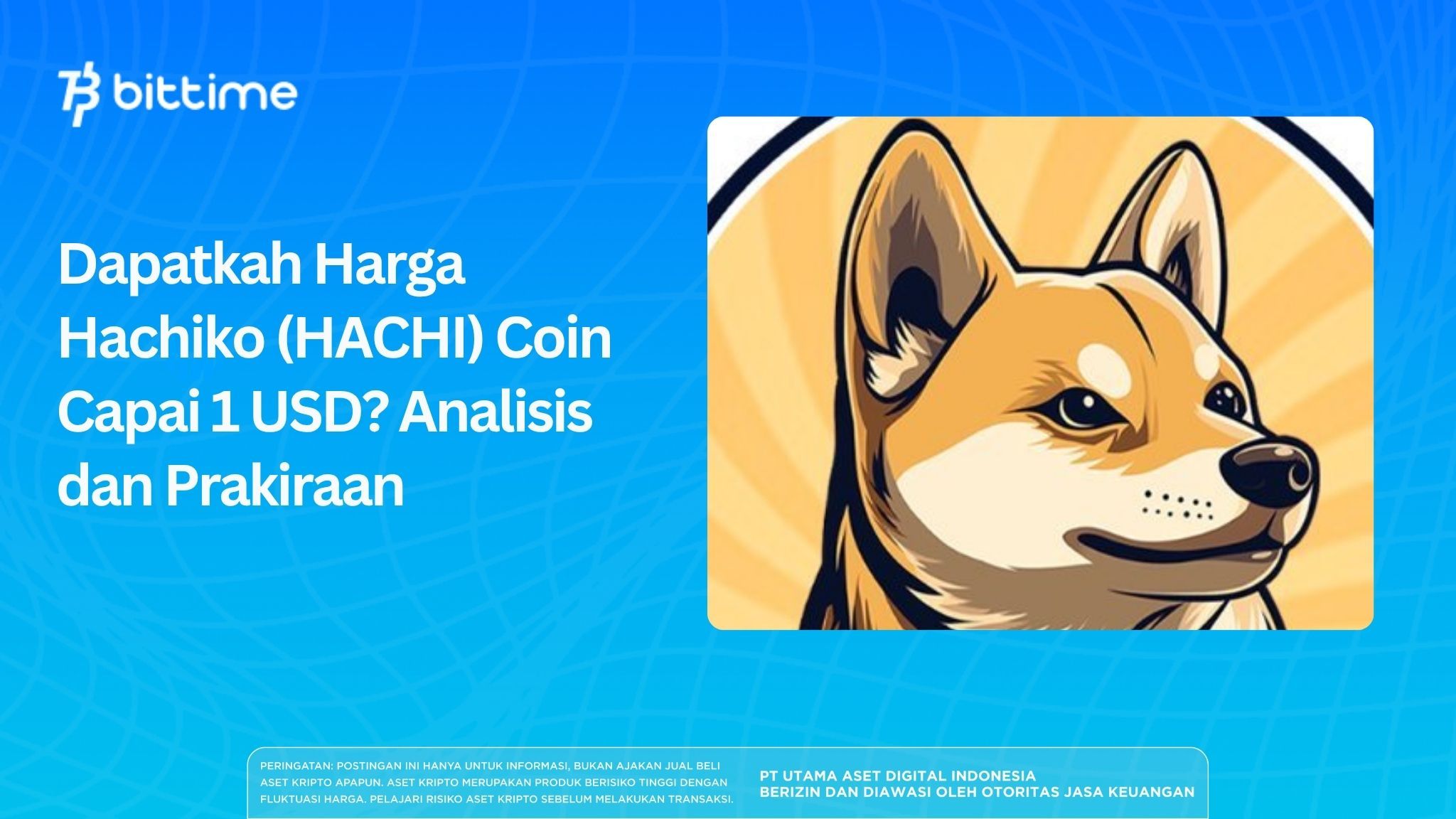 Can the Price of Hachiko (HACHI) Coin Reach $1? Analysis and Forecast