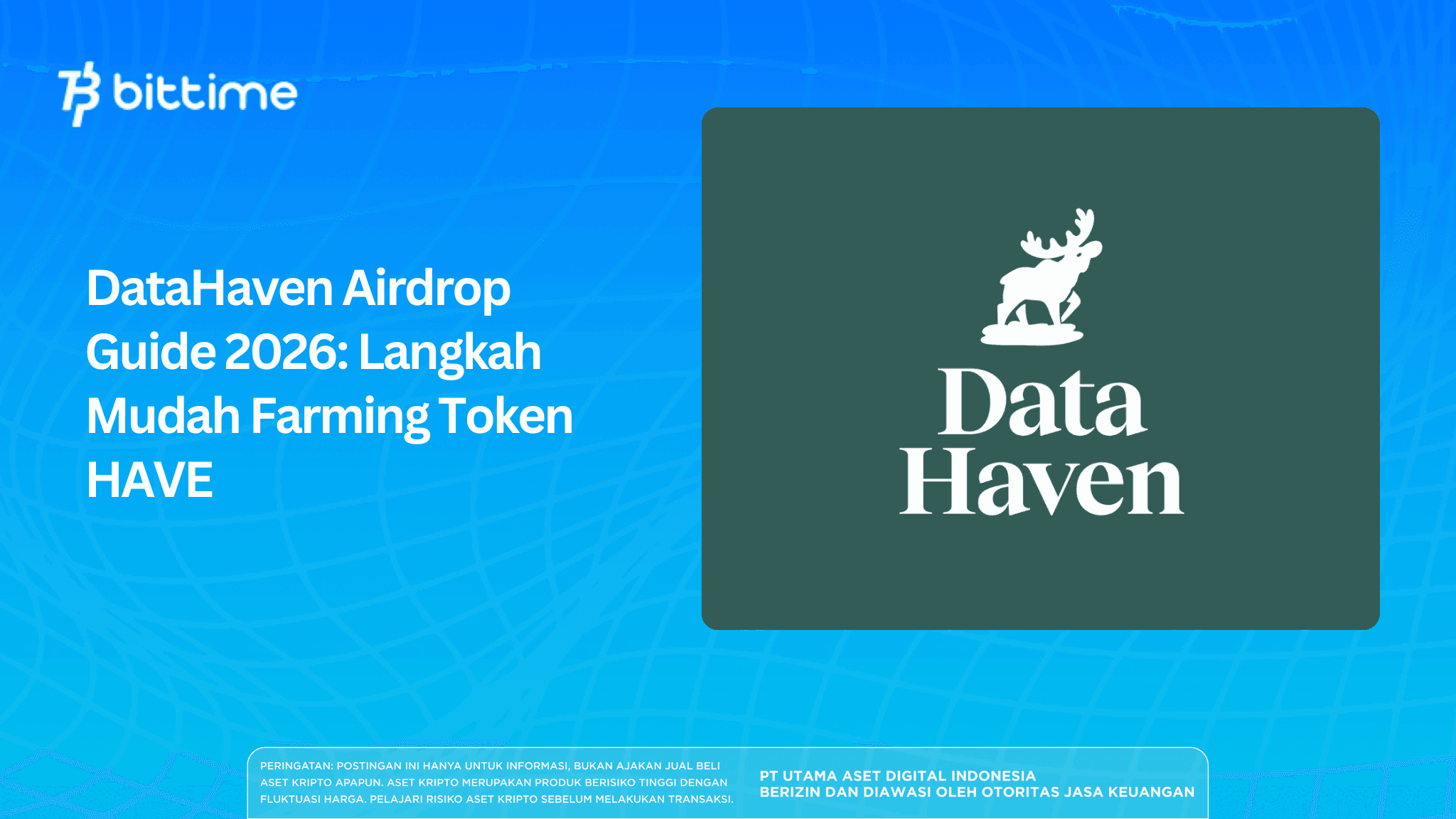 DataHaven Airdrop Guide 2026: Easy Steps to Farm HAVE Tokens