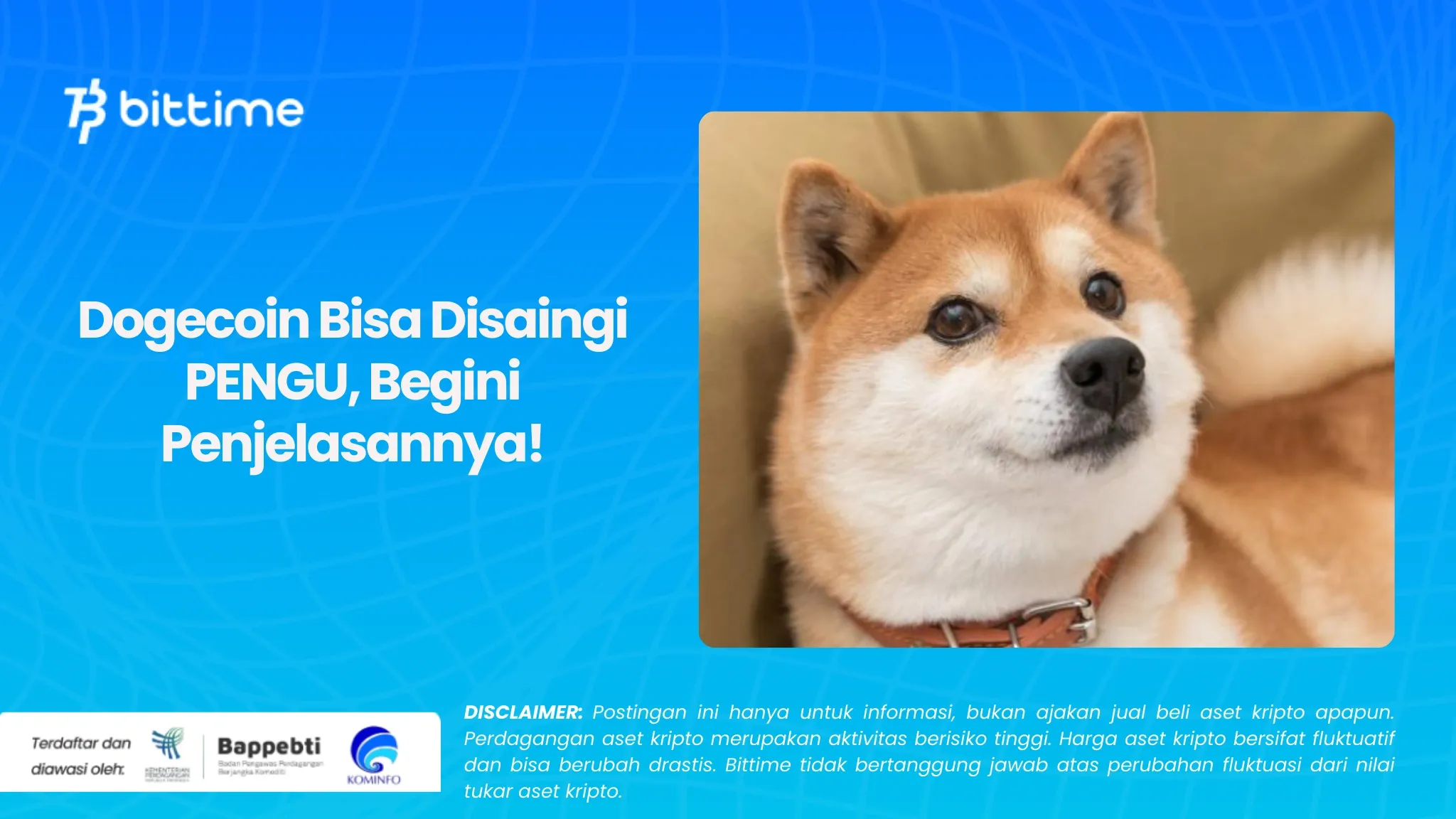 Dogecoin Bisa Disaingi PENGU, Begini Penjelasannya