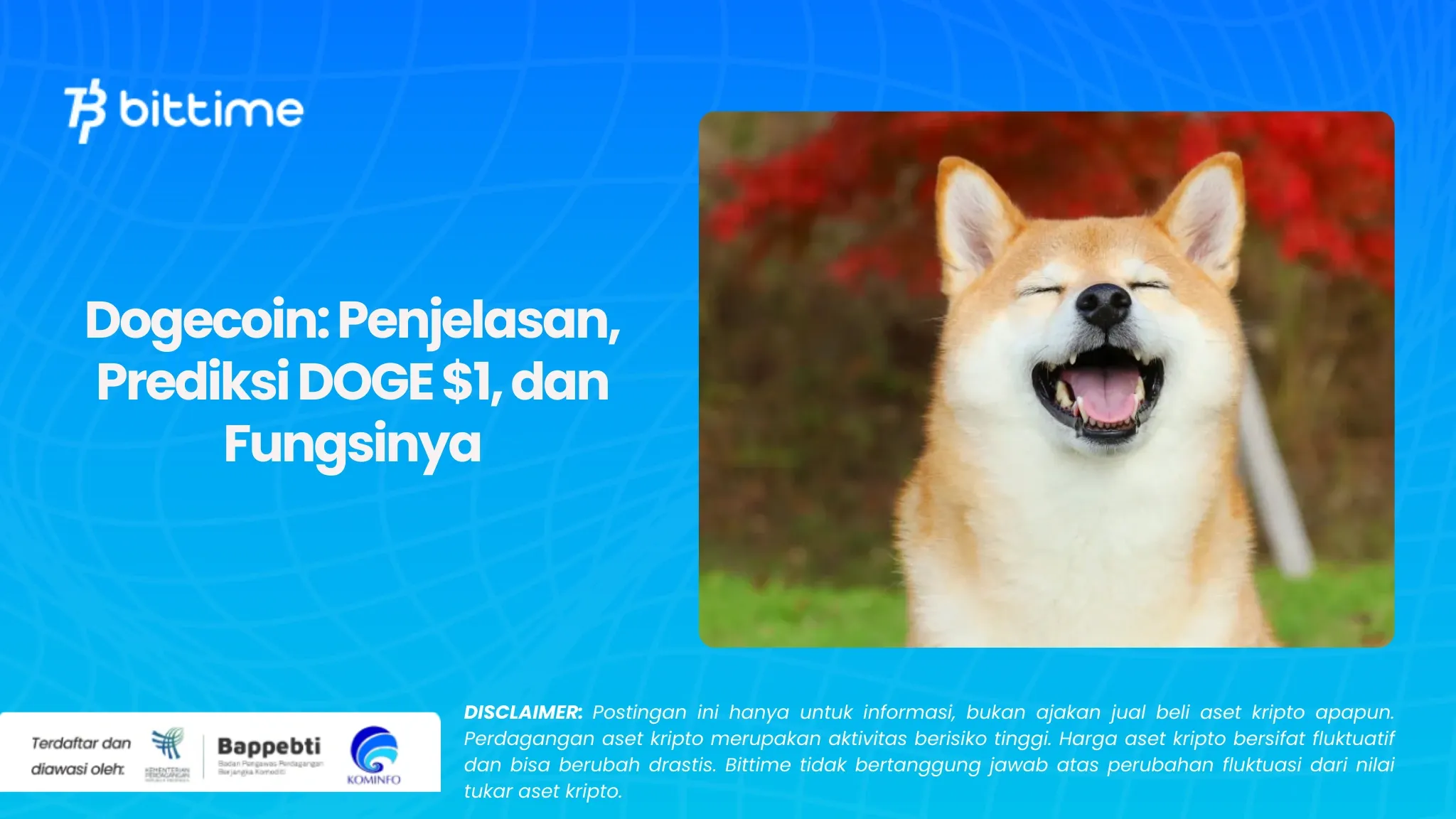 Dogecoin Penjelasan, Prediksi DOGE $1, dan Fungsinya