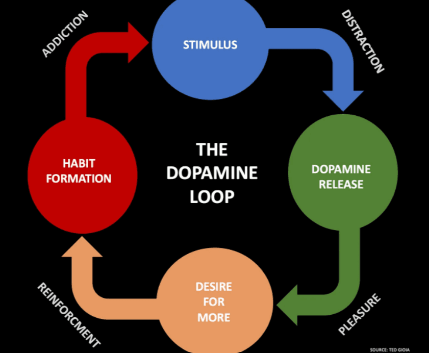 Dopamine Loop.png