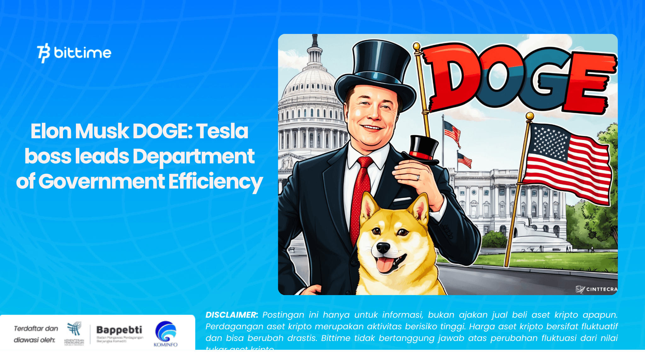 Elon Musk DOGE Tesla boss leads Department of Government Efficiency.png