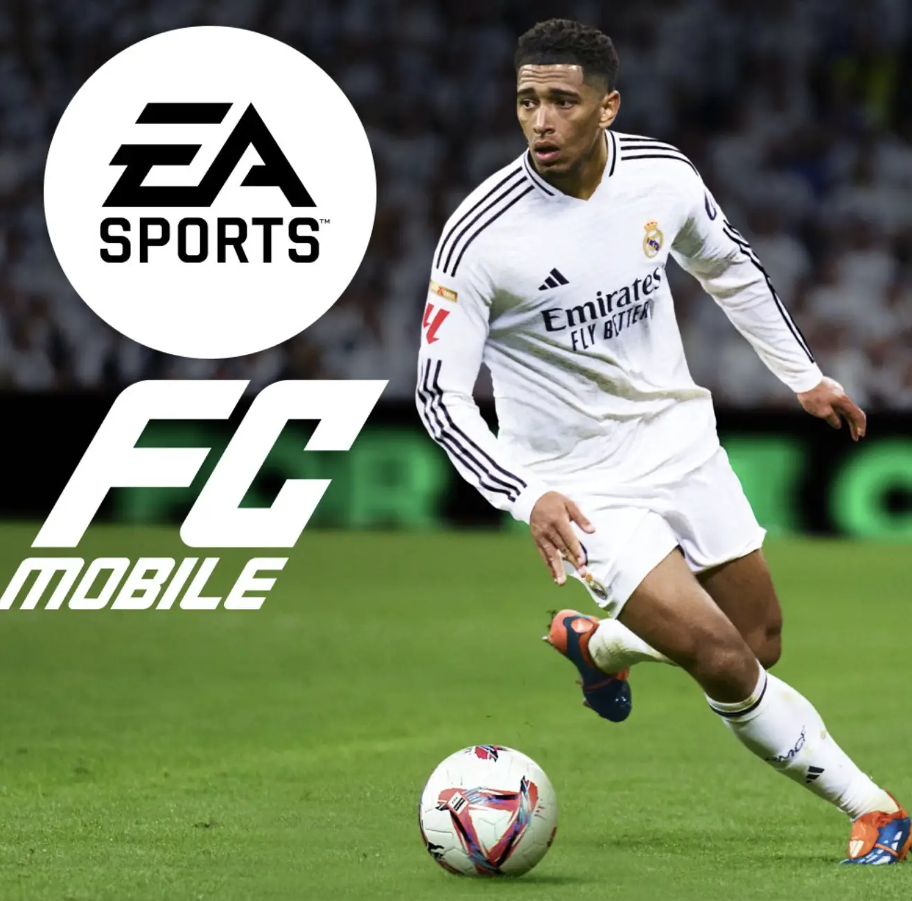 FC Mobile Banner.webp