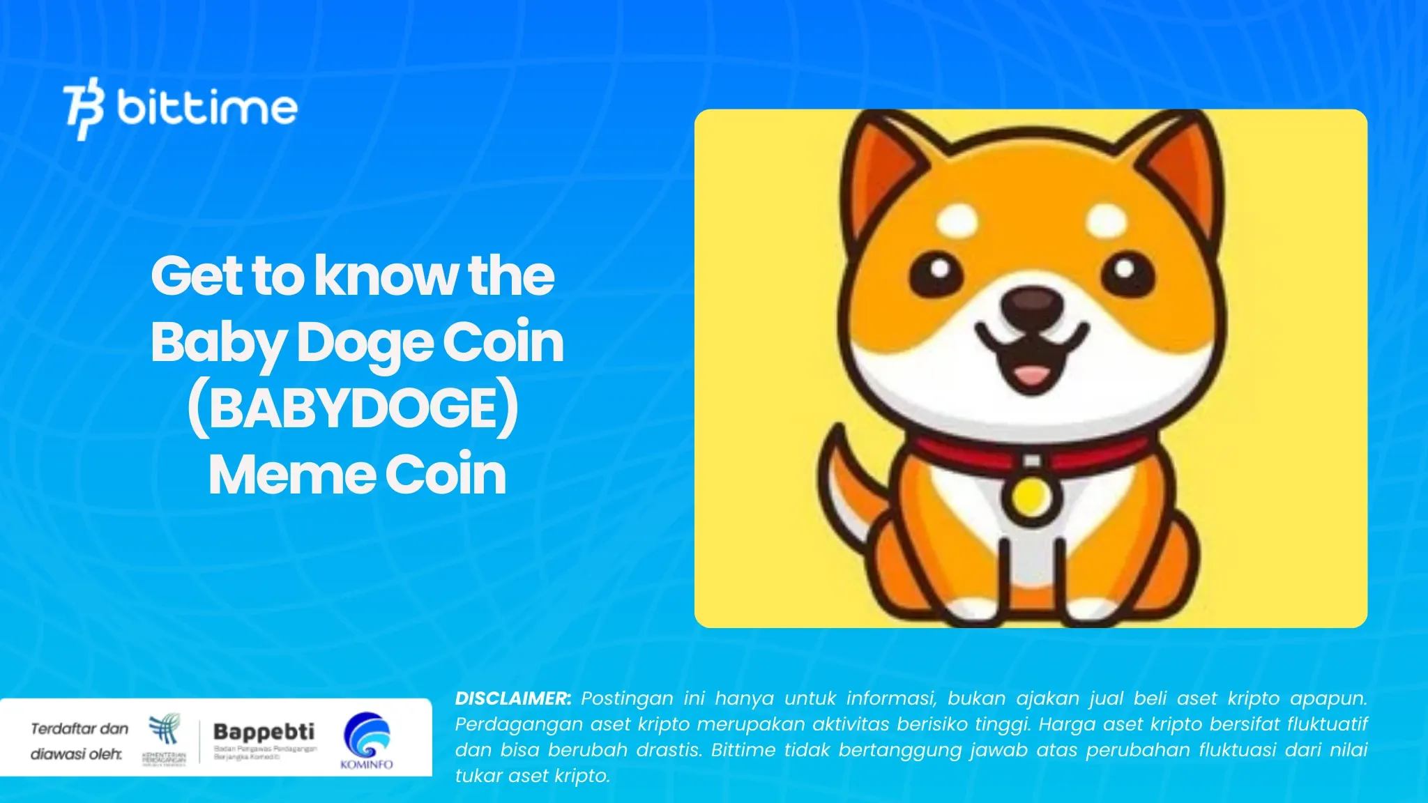 Get to know the Baby Doge Coin (BABYDOGE) Meme Coin