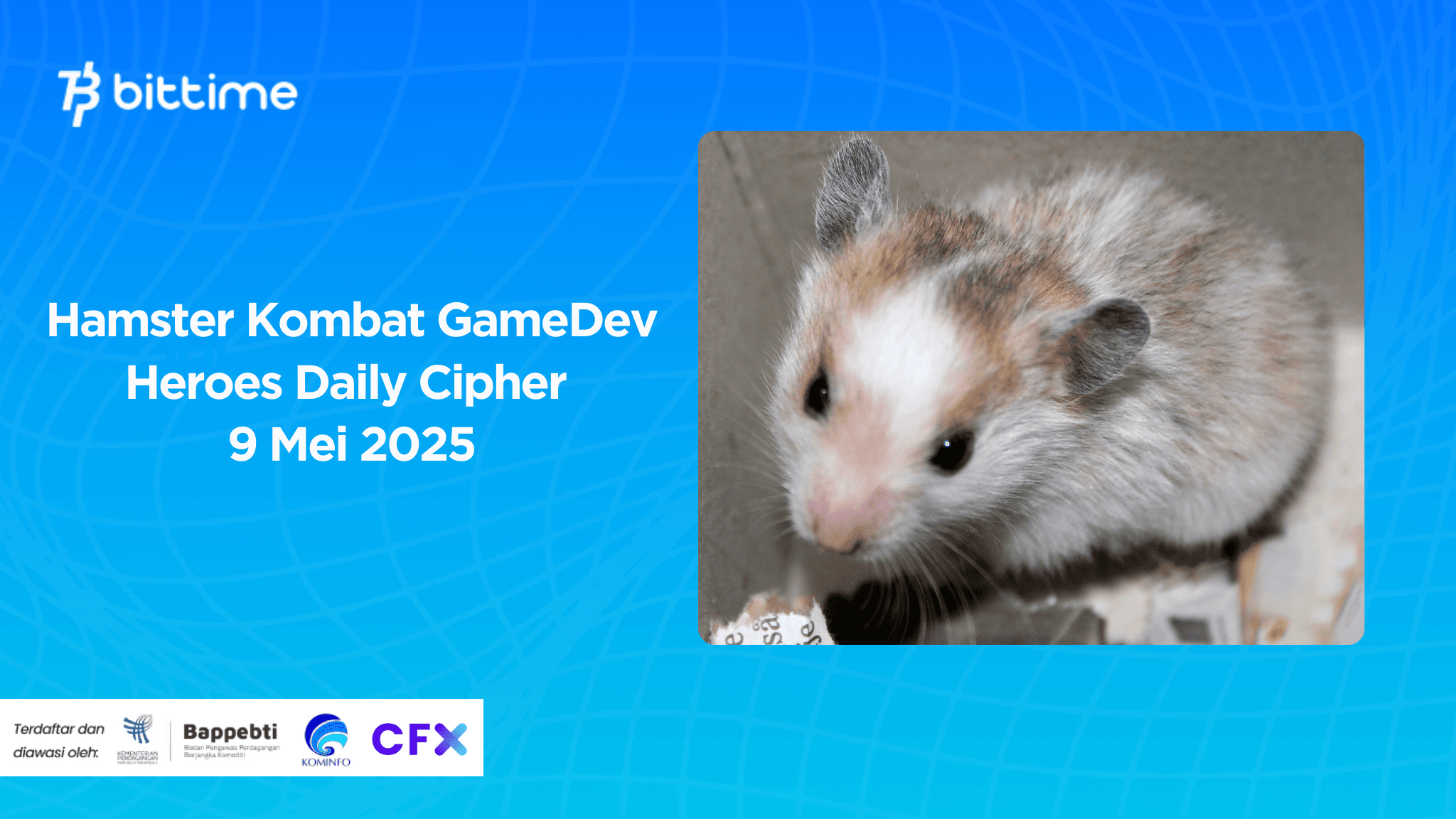 Hamster Kombat GameDev Heroes Daily Cipher 9 Mei 2025