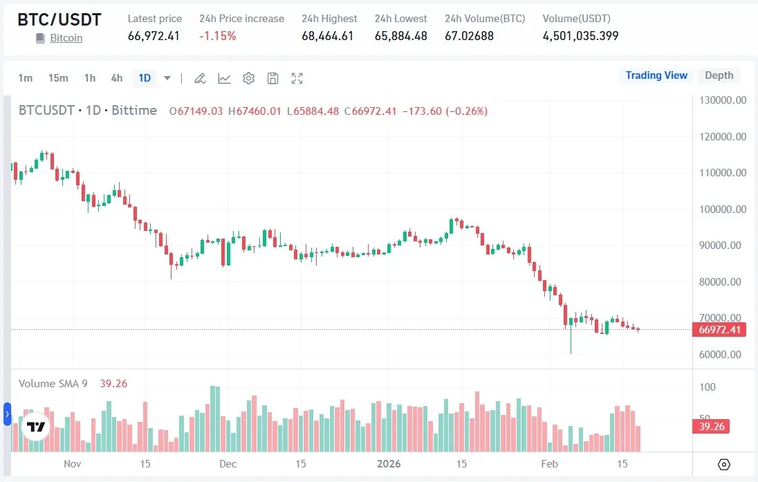 Daftar Pemilik Bitcoin (BTC) Terbesar di Dunia 2026