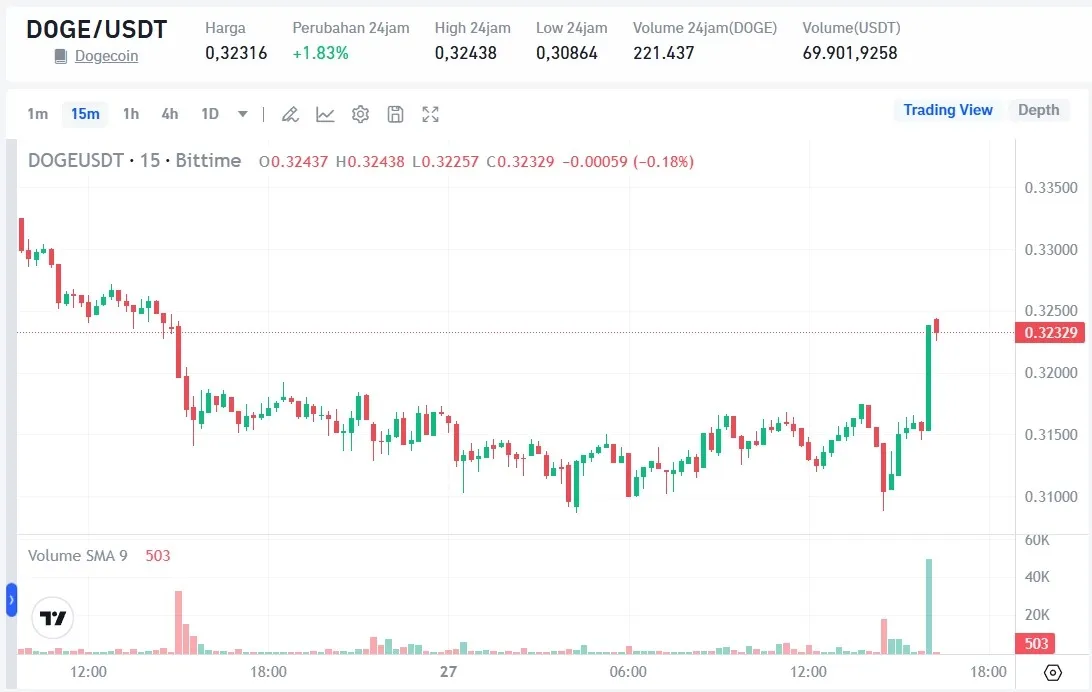 Harga DOGE Hari Ini.webp