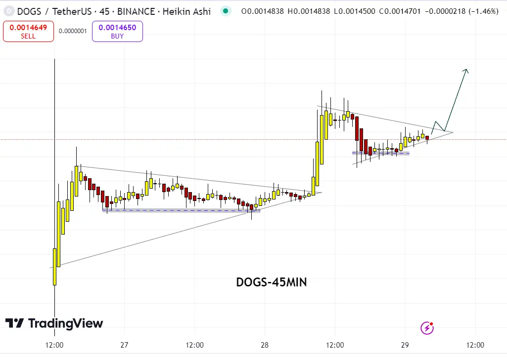 Dogs Coin Price Predicted to Rise After the Release of Pavel Durov?