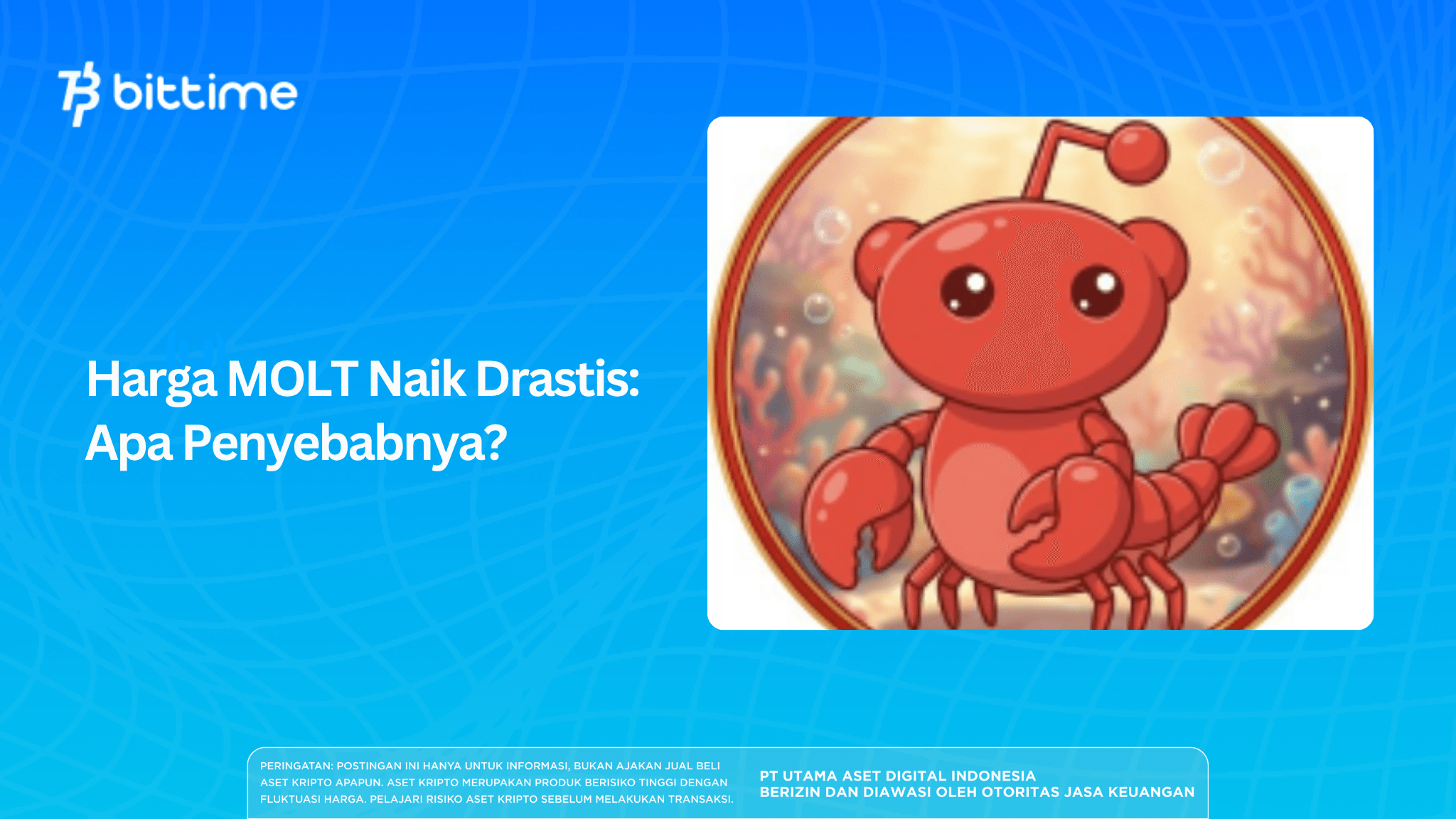 Harga MOLT Naik Drastis: Apa Penyebabnya?