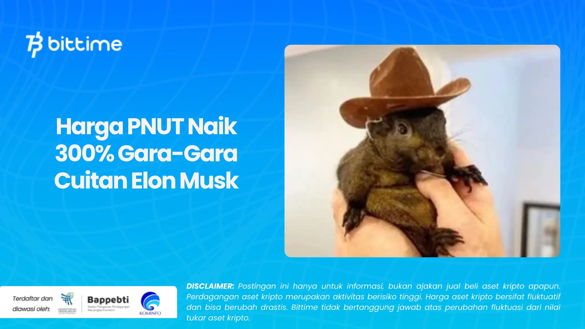 Harga PNUT Naik.webp