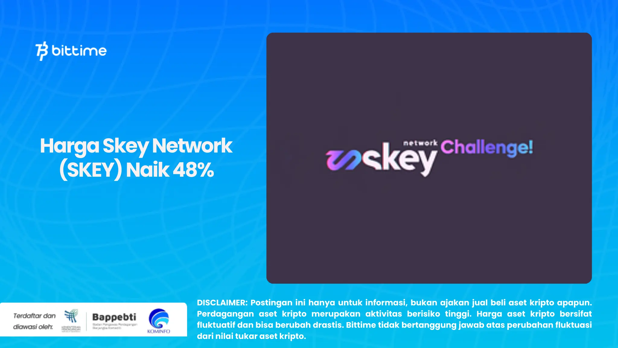 Harga Skey Network (SKEY) Naik 48%.webp