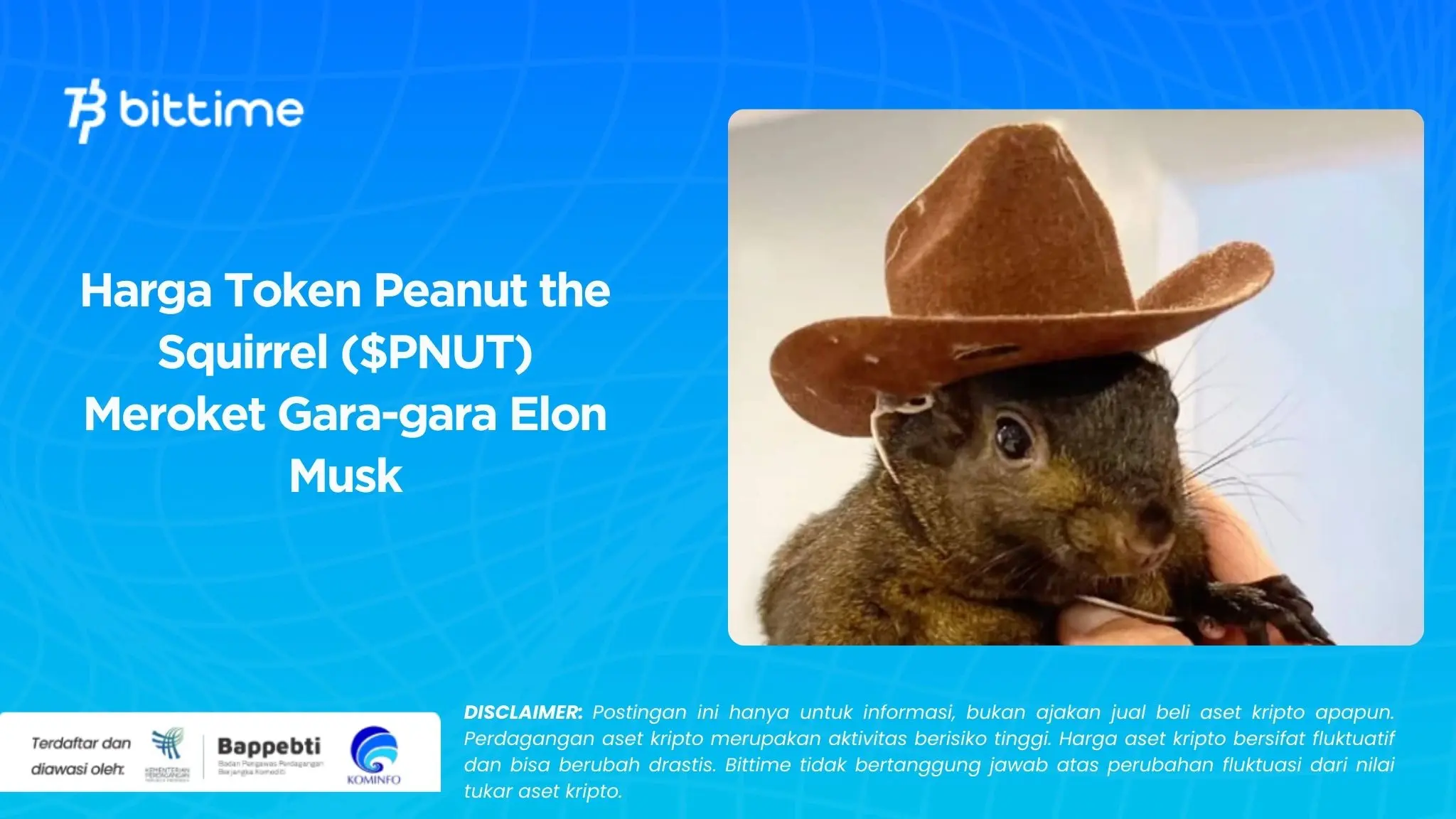 Harga Token Peanut the Squirrel ($PNUT) Meroket Gara-gara Elon Musk.webp