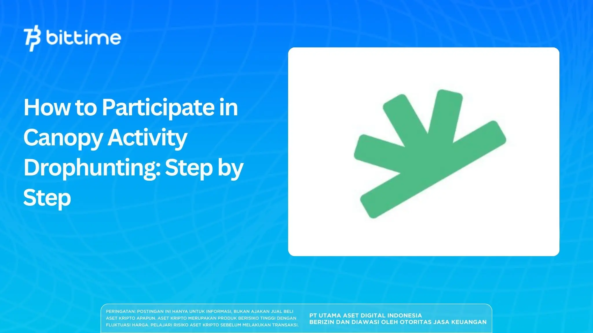 How to Participate in Canopy Activity Drophunting: Step by Step