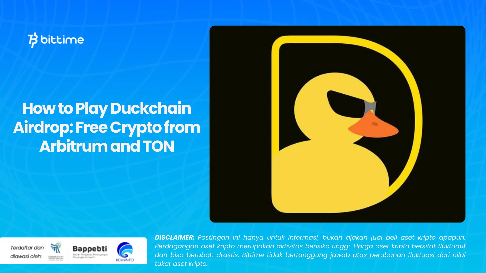 How to Play Duckchain Airdrop: Free Crypto from Arbitrum and TON