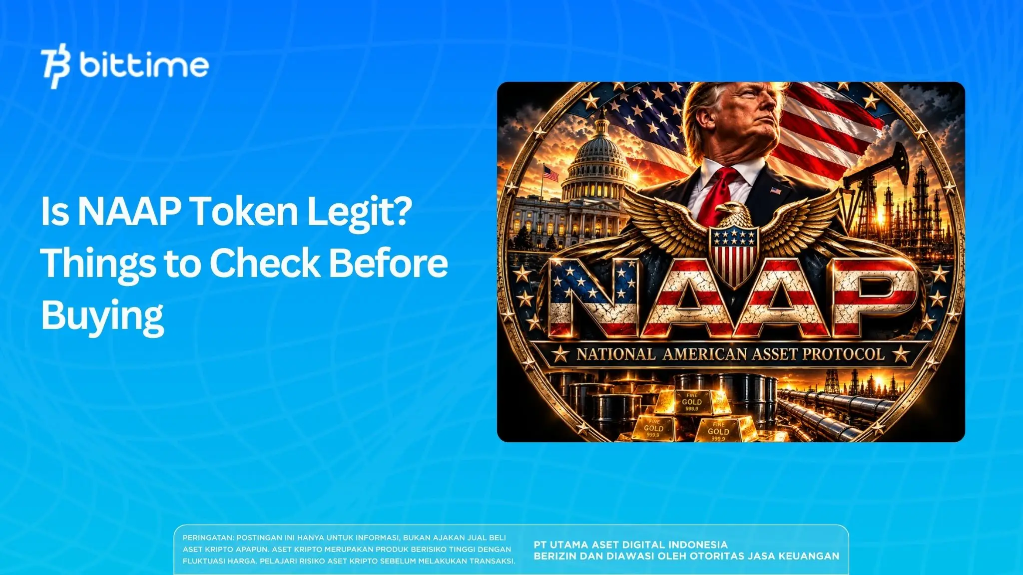 Is NAAP Token Legit? Things to Check Before Buying