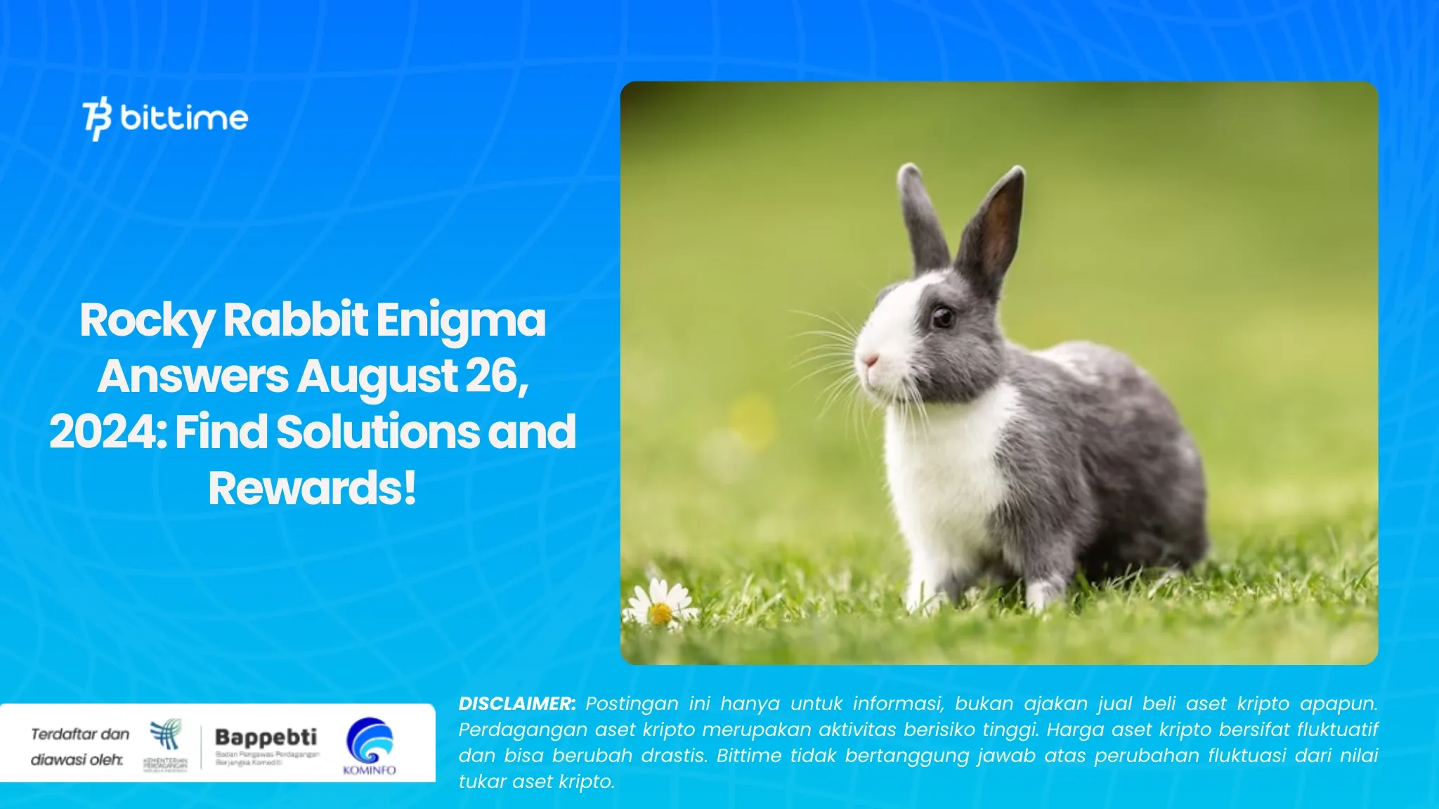 Jawaban Rocky Rabbit Enigma 26 Agustus 2024 Temukan Solusi dan Hadiah!.webp