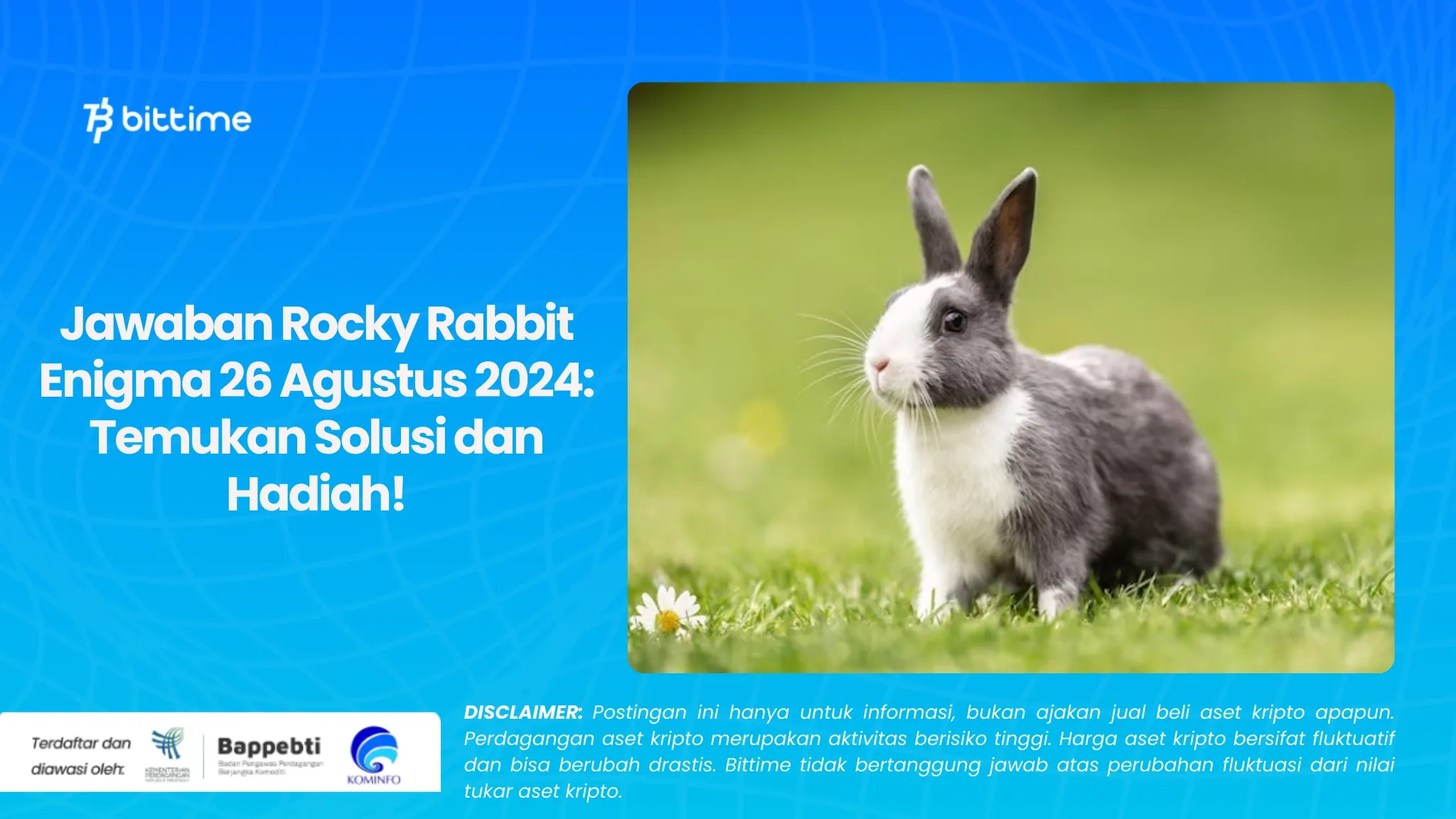 Jawaban Rocky Rabbit Enigma 26 Agustus 2024 Temukan Solusi dan Hadiah!.webp