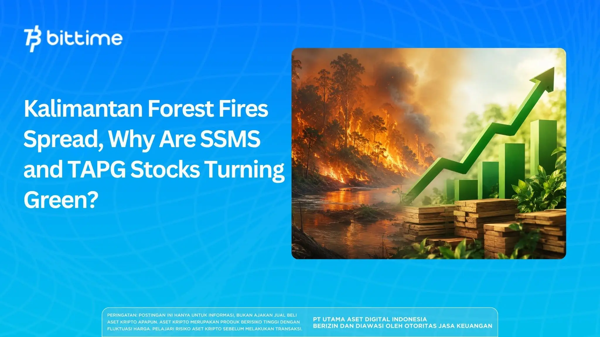 Kalimantan Forest Fires Spread, SSMS and TAPG Stocks Turning Green?
